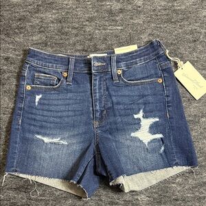 Denim Blue Distressed Women Shorts